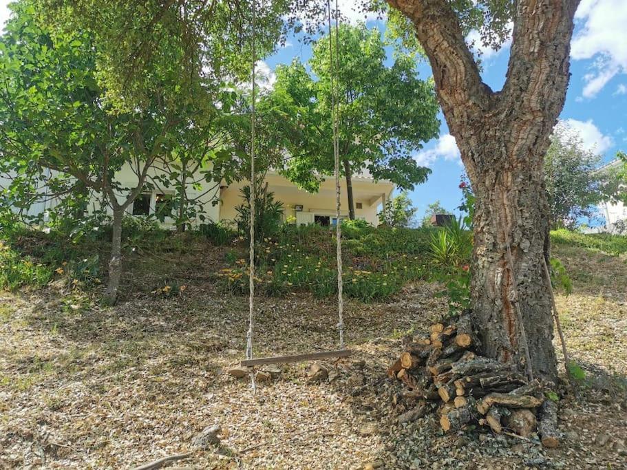 Cantinho Da Alice Family Villa Sertã Exterior foto